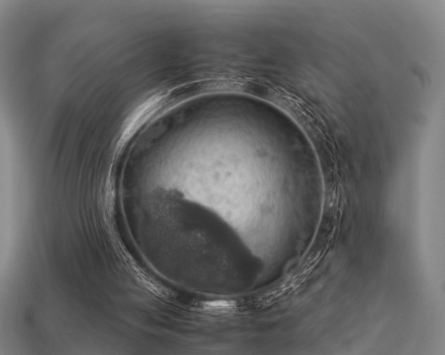 X0000113590053200909251144