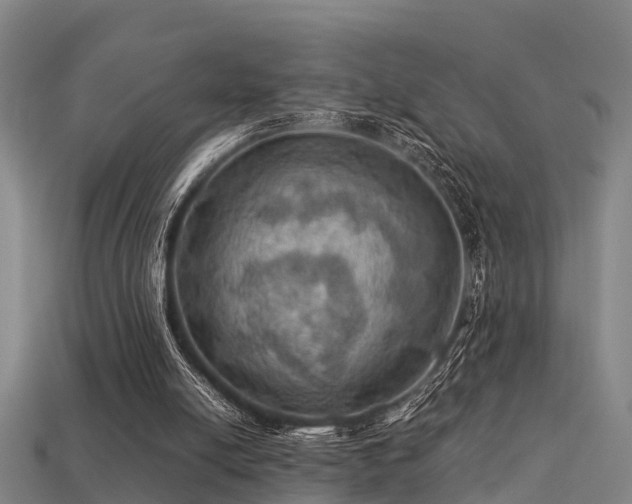 X0000113590054200909251144