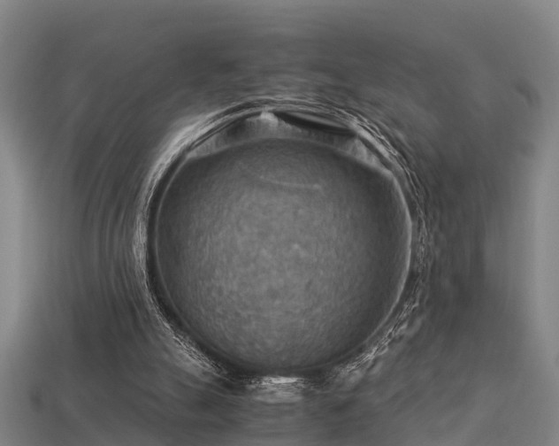 X0000113590055200909251144