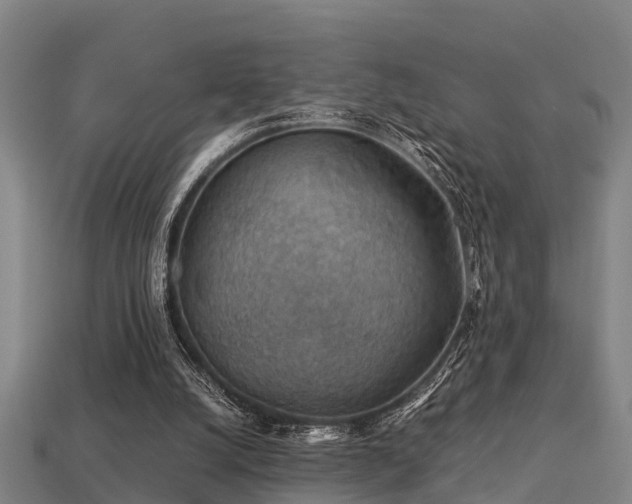 X0000113590056200909251144