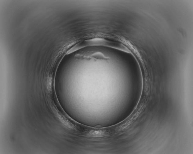 X0000113590057200909251144