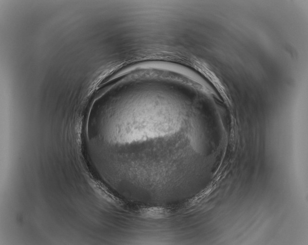 X0000113590058200909251144