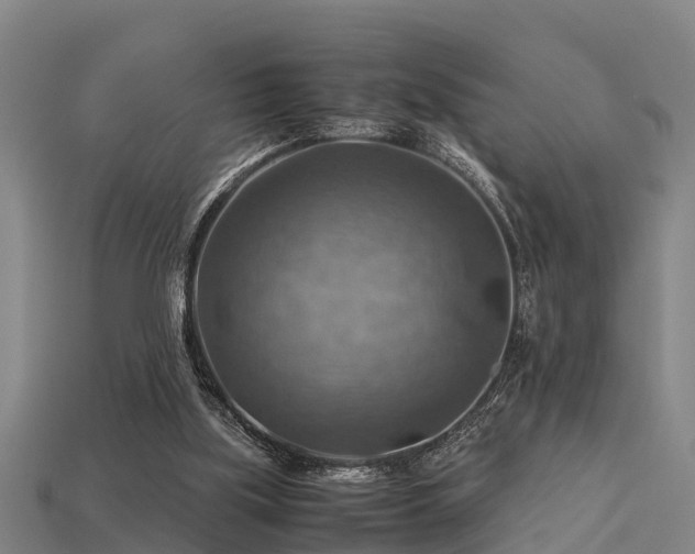 X0000113590059200909251144