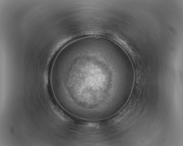 X0000113590060200909251144