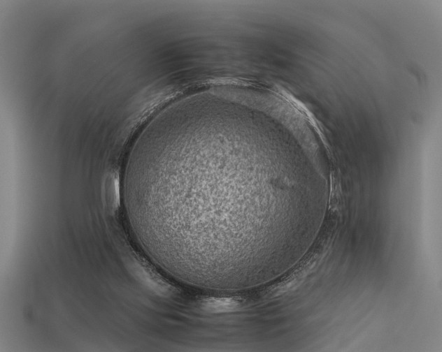 X0000113590061200909251144