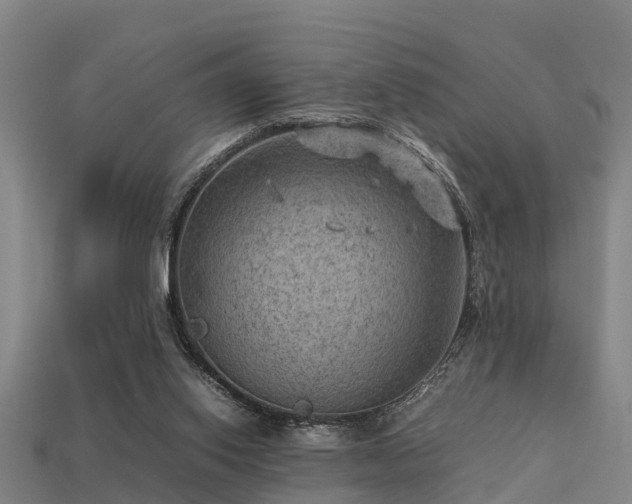 X0000113590062200909251144