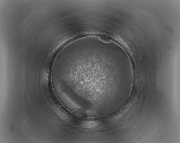 X0000113590063200909251144