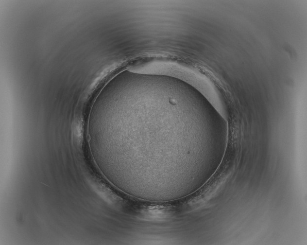 X0000113590064200909251144