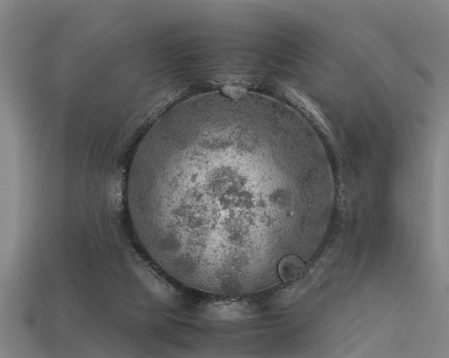 X0000113590065200909251144