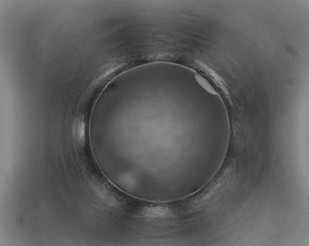 X0000113590067200909251144