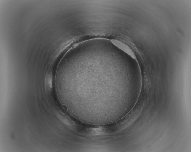 X0000113590068200909251144