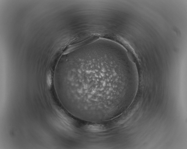 X0000113590069200909251144