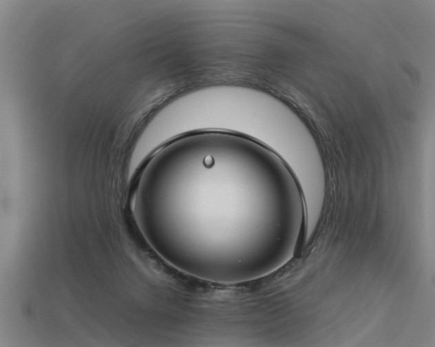 X0000113590072200909251144