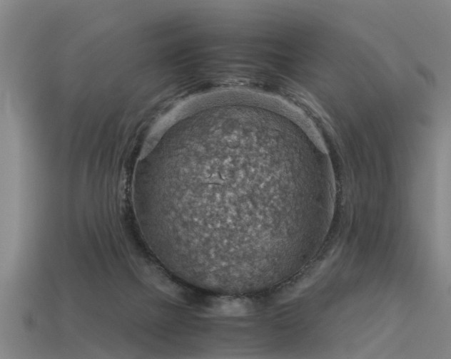 X0000113590073200909251144