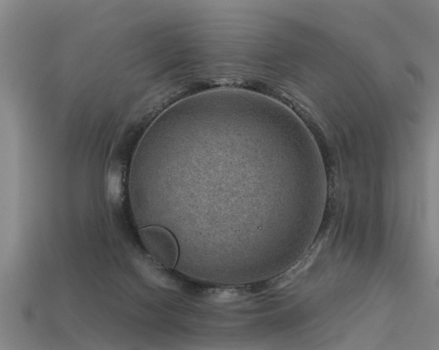 X0000113590074200909251144