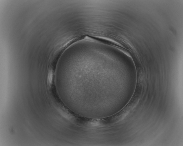 X0000113590076200909251144