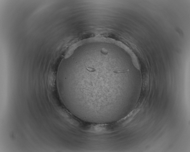 X0000113590078200909251144