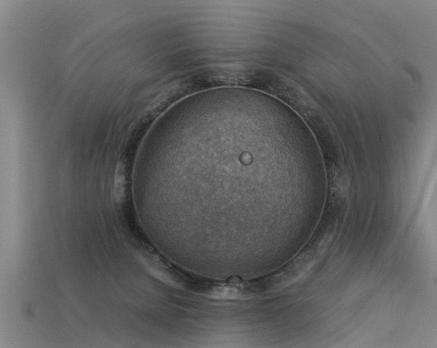 X0000113590080200909251144