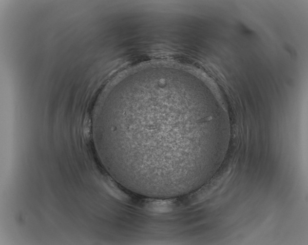 X0000113590081200909251144