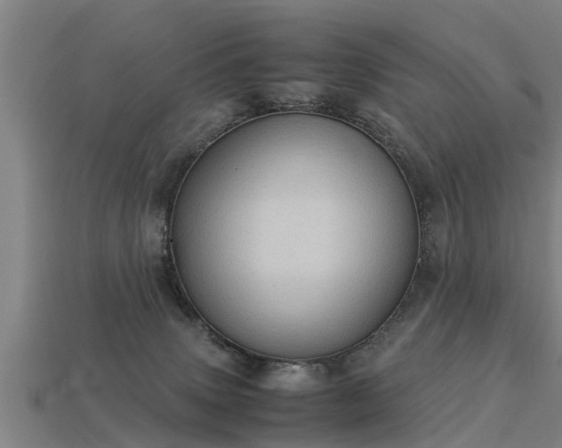 X0000113590083200909251144