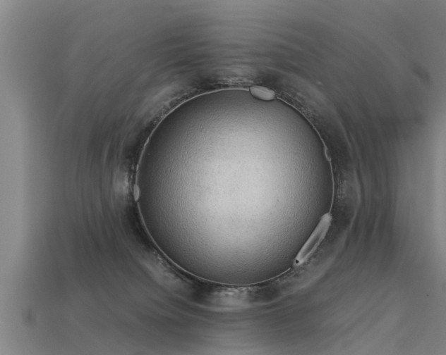 X0000113590084200909251144