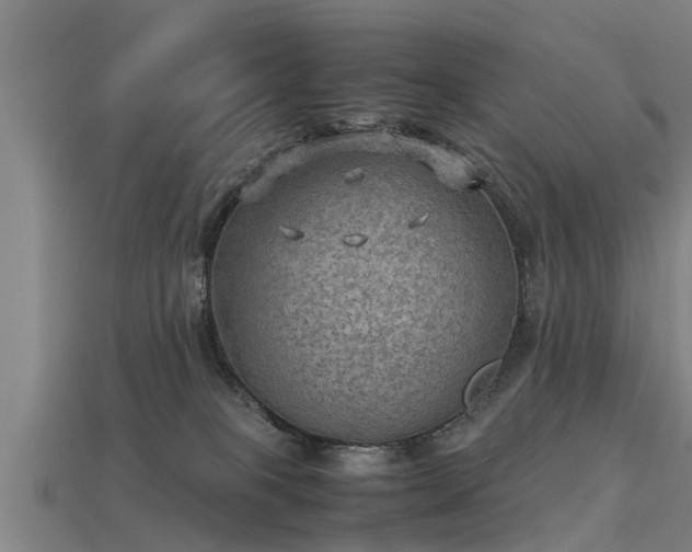 X0000113590085200909251144