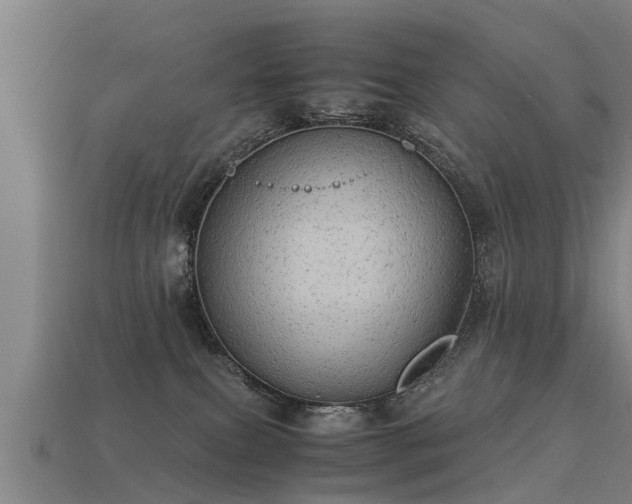 X0000113590087200909251144