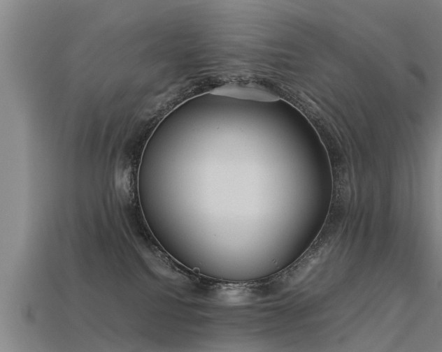 X0000113590088200909251144