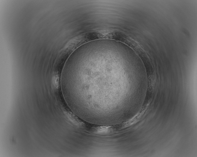 X0000113590090200909251144