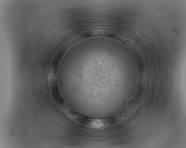 X0000113590091200909251144