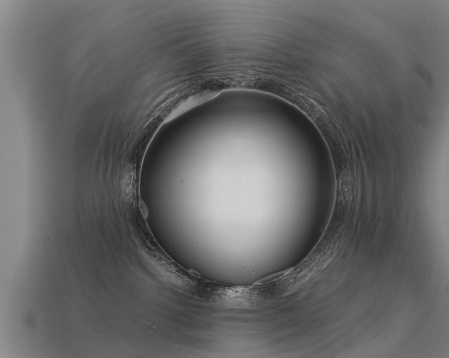 X0000113590092200909251144