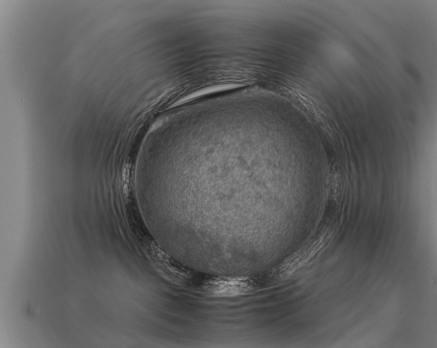 X0000113590093200909251144