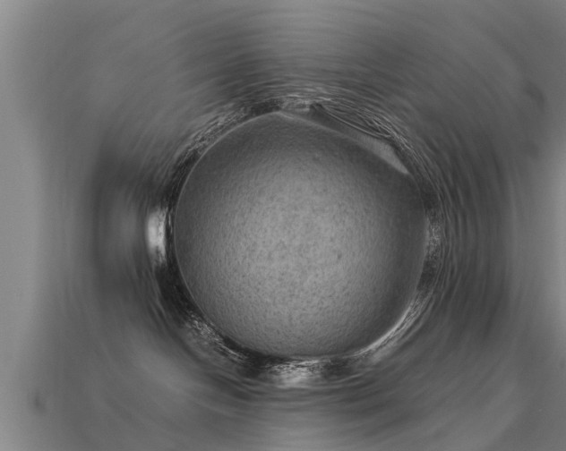 X0000113590094200909251144