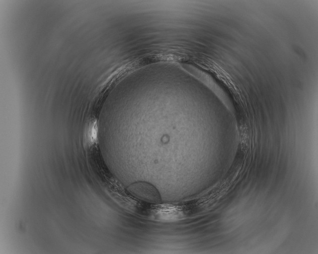 X0000113590095200909251145