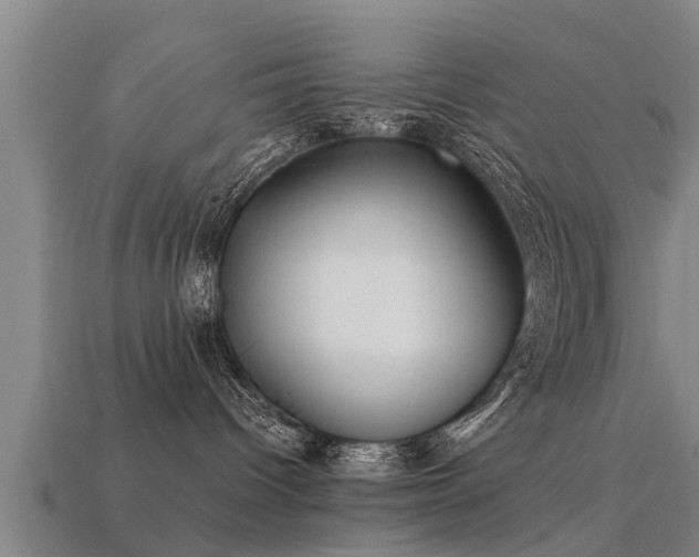 X0000113590096200909251145