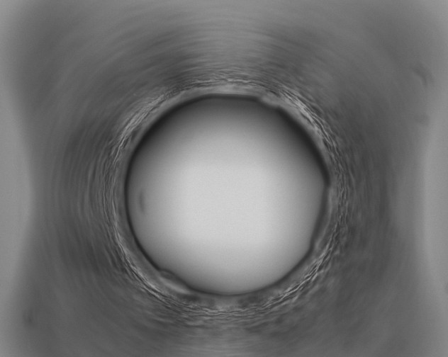 X0000113590097200909251144