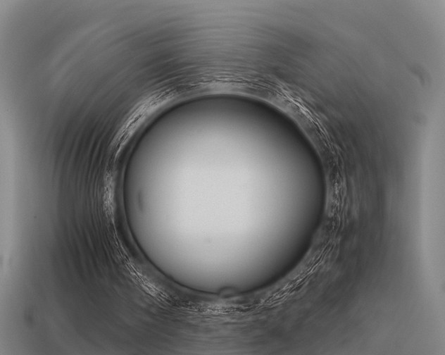 X0000113590098200909251144