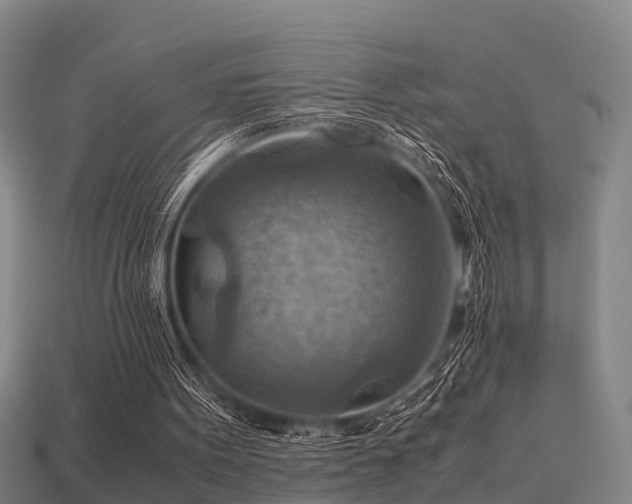 X0000113590099200909251144