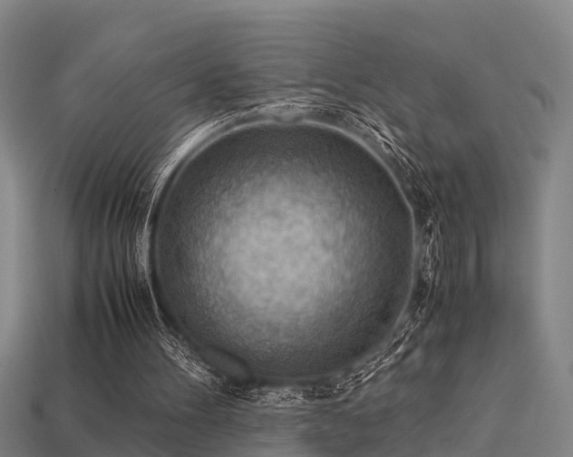 X0000113590100200909251144