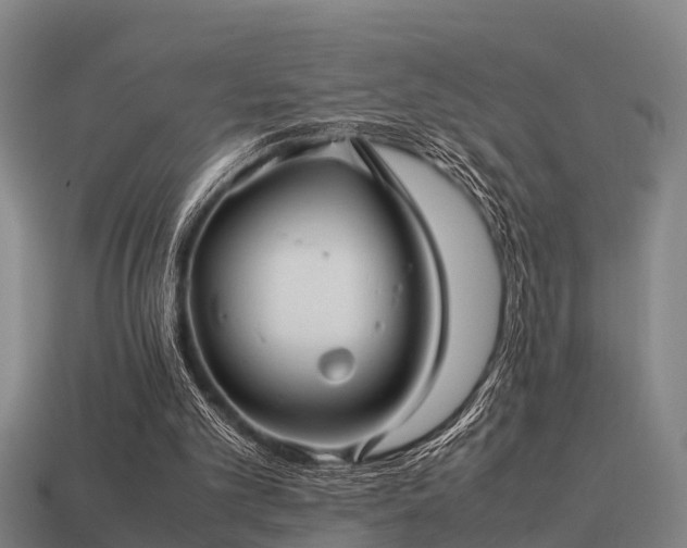 X0000113590101200909251144