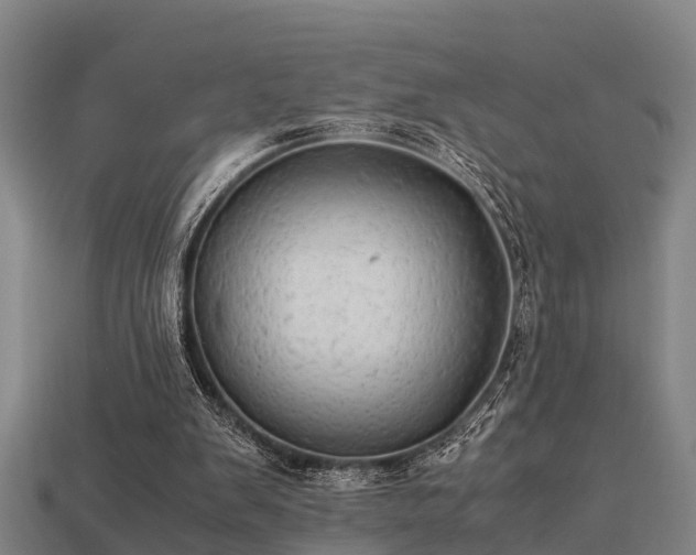 X0000113590103200909251144