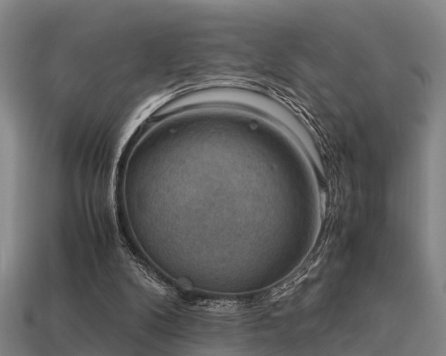 X0000113590104200909251144