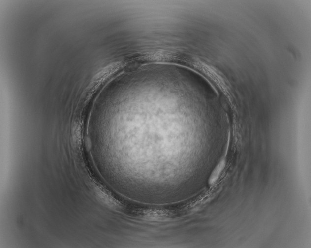 X0000113590105200909251144