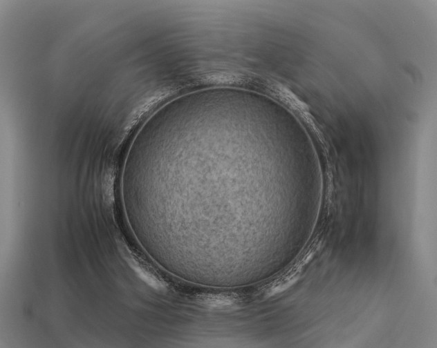 X0000113590106200909251144