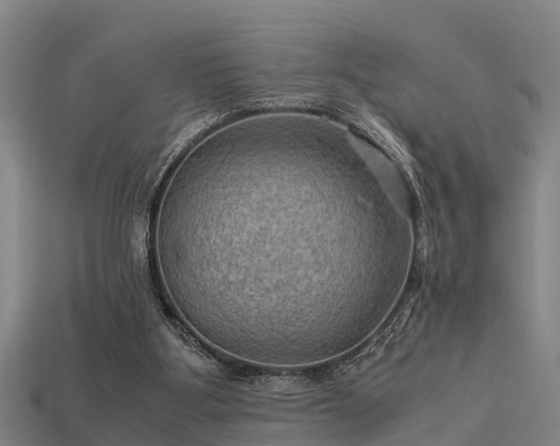 X0000113590107200909251144