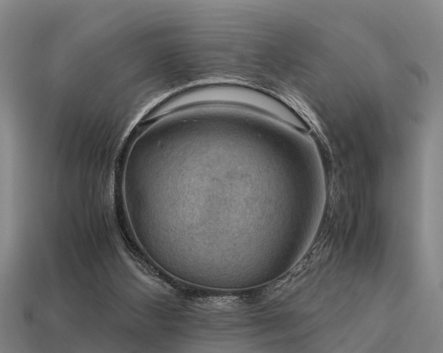 X0000113590108200909251144