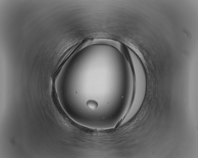 X0000113590109200909251144