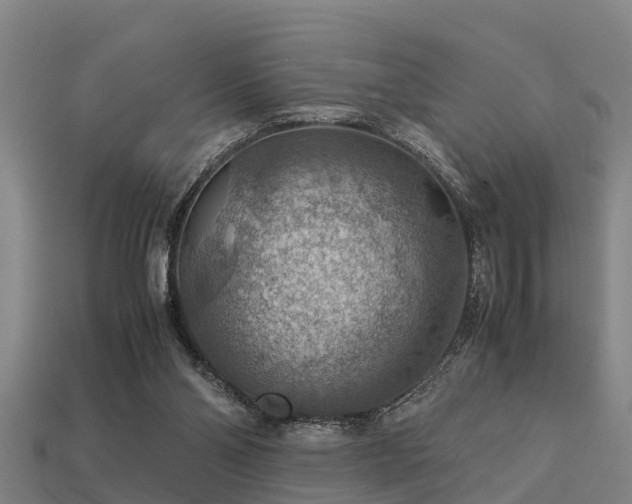 X0000113590110200909251144