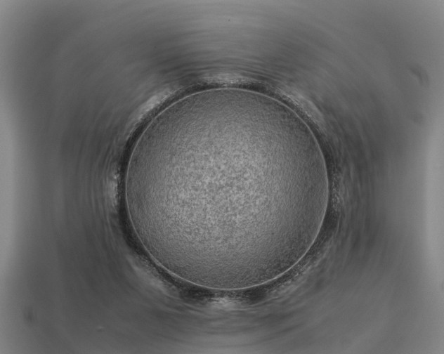 X0000113590111200909251144