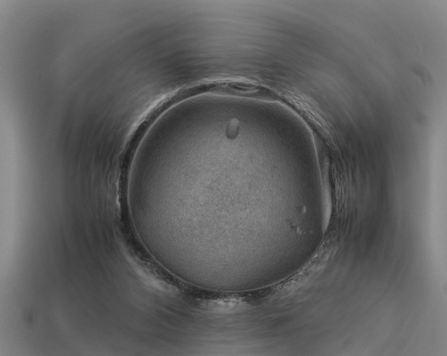 X0000113590112200909251144